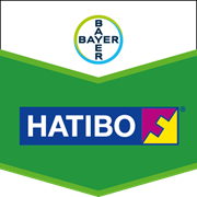 Фунгіцид Натіво