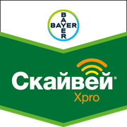 Фунгіцид Скайвей Xpro