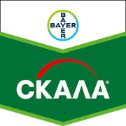 Фунгіцид Скала