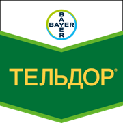 Фунгіцид Тельдор