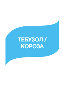 Фунгіцид Тебузол/Короза