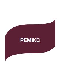 Приліплювач Ремікс