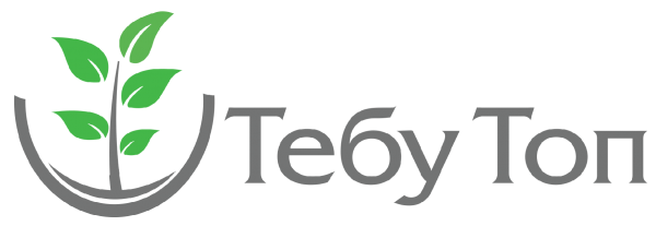 Фунгіцид Тебу Топ 250 КЕ
