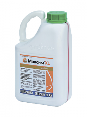 Протруйник Максим XL