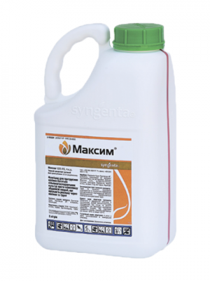 Протруйник Максим 